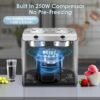 Homtone Ice Cream Maker Review Double Bowl Compressor Machine for Two Flavors