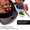 Nuwave PIC Gold Induction Cooktop Review Precise Temperature Control and Safety Features Explored